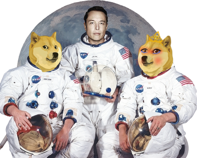 WifeDoge